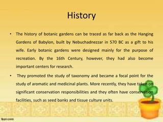 History
• The history of botanic gardens can be traced as far back as the Hanging
Gardens of Babylon, built by Nebuchadnezzar in 570 BC as a gift to his
wife. Early botanic gardens were designed mainly for the purpose of
recreation. By the 16th Century, however, they had also become
important centers for research.
• They promoted the study of taxonomy and became a focal point for the
study of aromatic and medicinal plants. More recently, they have taken on
significant conservation responsibilities and they often have conservation
facilities, such as seed banks and tissue culture units.
 