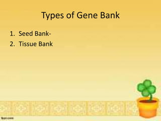 Types of Gene Bank
1. Seed Bank-
2. Tissue Bank
 