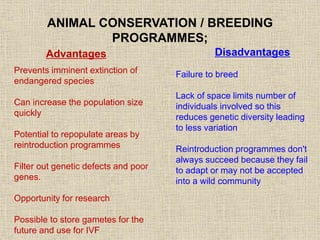 ANIMAL CONSERVATION / BREEDING
PROGRAMMES;
Advantages Disadvantages
Prevents imminent extinction of
endangered species
Can increase the population size
quickly
Potential to repopulate areas by
reintroduction programmes
Filter out genetic defects and poor
genes.
Opportunity for research
Possible to store gametes for the
future and use for IVF
Failure to breed
Lack of space limits number of
individuals involved so this
reduces genetic diversity leading
to less variation
Reintroduction programmes don't
always succeed because they fail
to adapt or may not be accepted
into a wild community
 