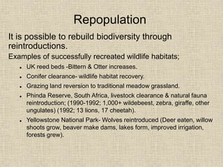 Repopulation
It is possible to rebuild biodiversity through
reintroductions.
Examples of successfully recreated wildlife habitats;
 UK reed beds -Bittern & Otter increases.
 Conifer clearance- wildlife habitat recovery.
 Grazing land reversion to traditional meadow grassland.
 Phinda Reserve, South Africa, livestock clearance & natural fauna
reintroduction; (1990-1992; 1,000+ wildebeest, zebra, giraffe, other
ungulates) (1992; 13 lions, 17 cheetah).
 Yellowstone National Park- Wolves reintroduced (Deer eaten, willow
shoots grow, beaver make dams, lakes form, improved irrigation,
forests grew).
 
