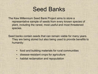 Seed Banks
The Kew Millennium Seed Bank Project aims to store a
representative sample of seeds from every known species of
plant, including the rarest, most useful and most threatened
species.
Seed banks contain seeds that can remain viable for many years.
They are being stored but also being used to provide benefits to
humanity:
• food and building materials for rural communities
• disease-resistant crops for agriculture
• habitat reclamation and repopulation
 