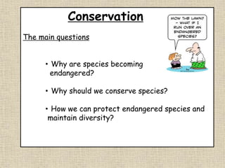 Conservation
The main questions
• Why are species becoming
endangered?
• Why should we conserve species?
• How we can protect endangered species and
maintain diversity?
 