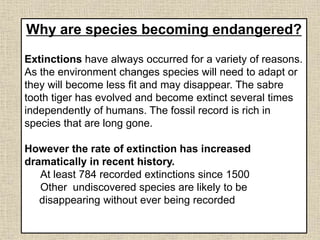 Why are species becoming endangered?
Extinctions have always occurred for a variety of reasons.
As the environment changes species will need to adapt or
they will become less fit and may disappear. The sabre
tooth tiger has evolved and become extinct several times
independently of humans. The fossil record is rich in
species that are long gone.
However the rate of extinction has increased
dramatically in recent history.
At least 784 recorded extinctions since 1500
Other undiscovered species are likely to be
disappearing without ever being recorded
 