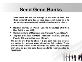 Seed Gene Banks
Gene Bank are for the Storage in the form of seed. The
three national gene banks have been established in India
for ex situ conservation of medicinal and aromatic plants.
• National Bureau of Plants Genetic Resources (NBPGR),
New Delhi, under ICAR.
• Central Institute of Medicinal and Aromatic Plants (CIMAP),
• Tropical Botanical Gardens Research Institute, (TBGRI),
Palode, Thiruvananthapuram (Kerala).
The seeds are dried to attain 4-6 per cent moisture content
and sealed in moisture proof aluminium foil packets. These
stored seeds remain viable for 50 to 100 years and are stored
preferably as per the gene bank standards recommended by
FAO/IPGRI.
 