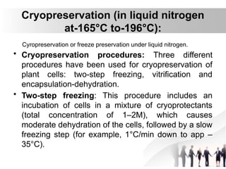 Cryopreservation (in liquid nitrogen
at-165°C to-196°C):
Cyropreservation or freeze preservation under liquid nitrogen.
• Cryopreservation procedures: Three different
procedures have been used for cryopreservation of
plant cells: two-step freezing, vitrification and
encapsulation-dehydration.
• Two-step freezing: This procedure includes an
incubation of cells in a mixture of cryoprotectants
(total concentration of 1–2M), which causes
moderate dehydration of the cells, followed by a slow
freezing step (for example, 1°C/min down to app –
35°C).
 