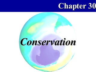 Conservation 