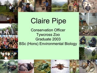 Claire Pipe
      Conservation Officer
         Tywcross Zoo
        Graduate 2003
BSc (Hons) Environmental Biology




               Claire Pipe
           Conservation Officer
             Twycross Zoo
 