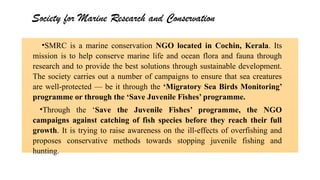 Conservation activities on aquatic habitat and fauna.pptx
