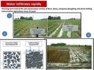 Water infiltrates rapidly
The long term trial of the soil conservation service of Bern, Swiss, compares ploughing and direct drilling
Conservation Agriculture since 12 years
1
2
3
 