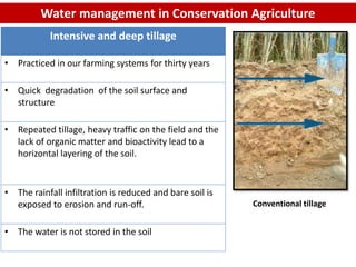 Water management in Conservation Agriculture
Intensive and deep tillage
• Practiced in our farming systems for thirty years
• Quick degradation of the soil surface and
structure
• Repeated tillage, heavy traffic on the field and the
lack of organic matter and bioactivity lead to a
horizontal layering of the soil.
• The rainfall infiltration is reduced and bare soil is
exposed to erosion and run-off.
• The water is not stored in the soil
Conventional tillage
 