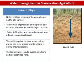No/zero tillage
• No/zero tillage preserves the natural cover
on the soil surface
• The vertical organization of the profile due
to roots, earthworms and biological activity
• Better infiltration and the reduction of run
off and erosion is achieved
• The soil is capable to store water quickly
during the rainy season and to release it
during growing season
• The farmer saves inputs, avoids pollutions
and reduces flood risks.
Water management in Conservation Agriculture
No-till field
 