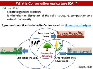 Conservation
Agriculture
What is Conservation Agriculture (CA) ?
CA is a set of
• Soil management practices
• It minimize the disruption of the soil's structure, composition and
natural biodiversity.
Agronomic practices included in CA are based on three core principles
Permanent Soil
Cover
No Tilling the Soil Crop Rotation and
Cover Crops
(Derpsh, 2001)
 