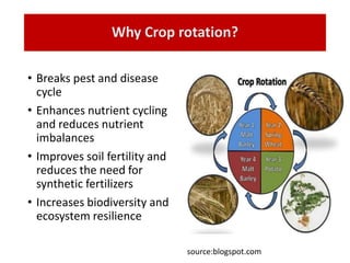 Why Crop rotation?
• Breaks pest and disease
cycle
• Enhances nutrient cycling
and reduces nutrient
imbalances
• Improves soil fertility and
reduces the need for
synthetic fertilizers
• Increases biodiversity and
ecosystem resilience
source:blogspot.com
 