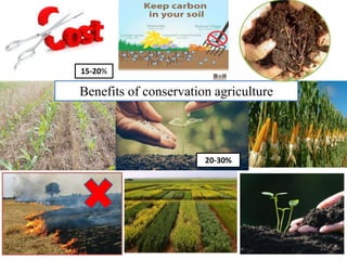 Conservation agriculture: impact on soil health and crop production | PPTX