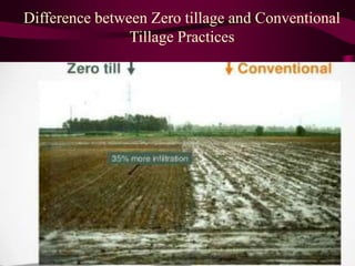 Difference between Zero tillage and Conventional
Tillage Practices
 