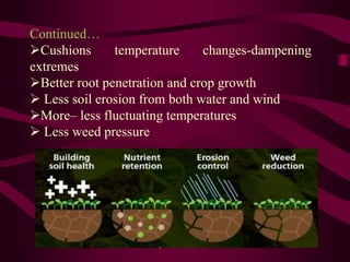 Continued…
Cushions temperature changes-dampening
extremes
Better root penetration and crop growth
 Less soil erosion from both water and wind
More– less fluctuating temperatures
 Less weed pressure
 