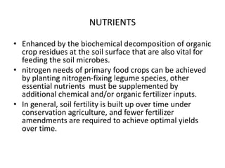 NUTRIENTS
• Enhanced by the biochemical decomposition of organic
crop residues at the soil surface that are also vital for
feeding the soil microbes.
• nitrogen needs of primary food crops can be achieved
by planting nitrogen-fixing legume species, other
essential nutrients must be supplemented by
additional chemical and/or organic fertilizer inputs.
• In general, soil fertility is built up over time under
conservation agriculture, and fewer fertilizer
amendments are required to achieve optimal yields
over time.
 