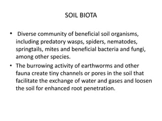SOIL BIOTA
• Diverse community of beneficial soil organisms,
including predatory wasps, spiders, nematodes,
springtails, mites and beneficial bacteria and fungi,
among other species.
• The burrowing activity of earthworms and other
fauna create tiny channels or pores in the soil that
facilitate the exchange of water and gases and loosen
the soil for enhanced root penetration.
 
