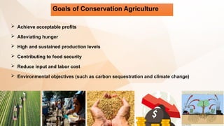 Goals of Conservation Agriculture
 Achieve acceptable profits
 Alleviating hunger
 High and sustained production levels
 Contributing to food security
 Reduce input and labor cost
 Environmental objectives (such as carbon sequestration and climate change)
 