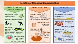 Benefits of Conservation Agriculture
 