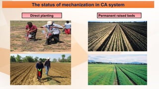 The status of mechanization in CA system
Direct planting Permanent raised beds
 
