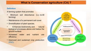 What is Conservation agriculture (CA) ?
Definition
A farming system that promotes
• Minimum soil disturbance (i.e. no-till
farming)
• Maintenance of a permanent soil cover
• Diversification of plant species.
• Enhances biodiversity and natural
biological processes above and below the
ground surface
• Increased water and nutrient use
efficiency
• Improved and sustained crop production
(FAO).
 
