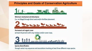 Principles and Goals of Conservation Agriculture
 