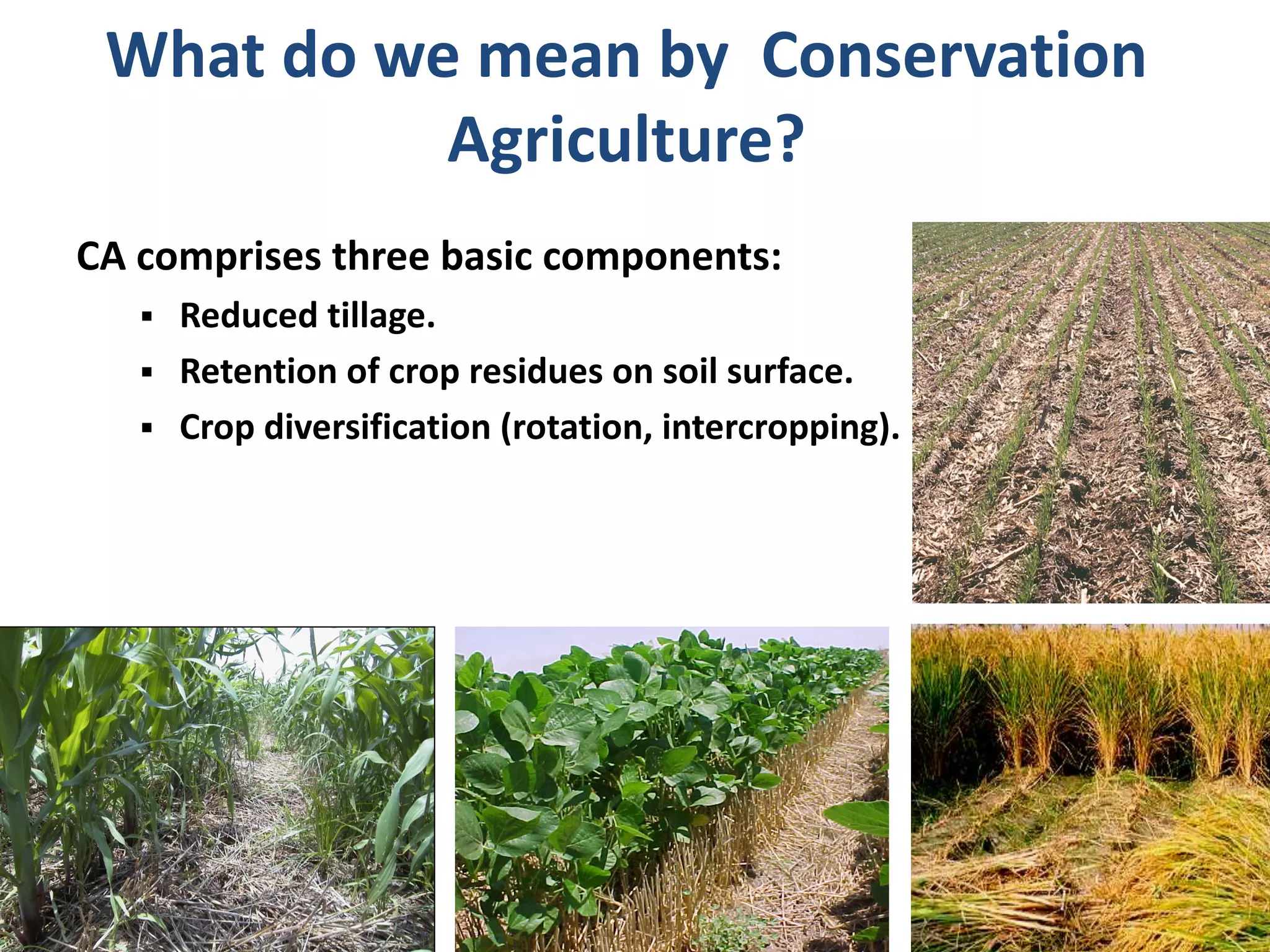 CA comprises three basic components:
§ Reduced tillage.
§ Retention of crop residues on soil surface.
§ Crop diversification (rotation, intercropping).
What do we mean by Conservation
Agriculture?