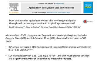 Conservation agriculture based practices and soil carbon: Between myth ...