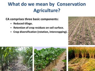 Conservation agriculture based practices and soil carbon: Between myth and farmer reality