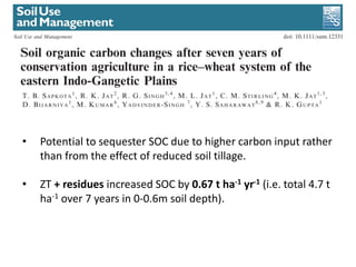 Conservation agriculture based practices and soil carbon: Between myth and farmer reality