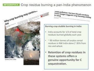 Conservation agriculture based practices and soil carbon: Between myth and farmer reality