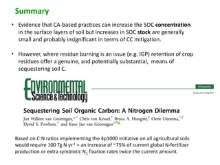Conservation agriculture based practices and soil carbon: Between myth and farmer reality