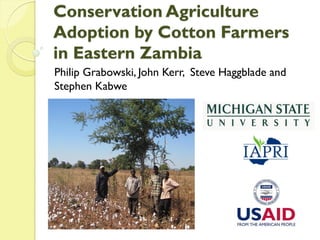 Conservation Agriculture
Adoption by Cotton Farmers
in Eastern Zambia
Philip Grabowski, John Kerr, Steve Haggblade and
Stephen Kabwe
 