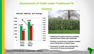 Realizing sustainable agricultural mechanisation
Assessments of Yields under Traditional FA
Systems
2,260
2,948
1,541
2,291
0.00
0.05
0.10
0.15
0.20
0.25
0.30
0.35
0.40
0.45
0.50
0
500
1,000
1,500
2,000
2,500
3,000
3,500
Unfert.
Local
Maize
Fert.
Hybrid
Maize
Under Away % Change
• Traditional FA system based on randomly
selected farmer fields with Faidherbia
• Fertilizer use by farmers involved a modest
rate of 30 kg N/ha on hybrid maize
• Constraints to yields were planting time
and control of heavy weed growth
Source: Trent Bunderson. TotalLandcare - Malawi
 