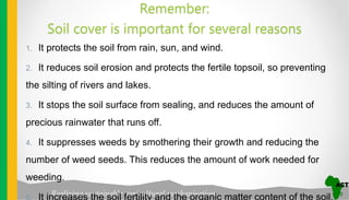 Realizing sustainable agricultural mechanisation
Remember:
Soil cover is important for several reasons
1. It protects the soil from rain, sun, and wind.
2. It reduces soil erosion and protects the fertile topsoil, so preventing
the silting of rivers and lakes.
3. It stops the soil surface from sealing, and reduces the amount of
precious rainwater that runs off.
4. It suppresses weeds by smothering their growth and reducing the
number of weed seeds. This reduces the amount of work needed for
weeding.
 