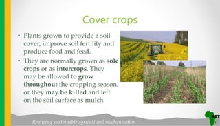 Realizing sustainable agricultural mechanisation
Cover crops
• Plants grown to provide a soil
cover, improve soil fertility and
produce food and feed.
• They are normally grown as sole
crops or as intercrops. They
may be allowed to grow
throughout the cropping season,
or they may be killed and left
on the soil surface as mulch.
 