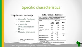 Realizing sustainable agricultural mechanisation
Specific characteristics
Unpalatable cover crops
• Canavalia Ensiformis
– Sword bean
• Crotalaria
Orchroleuca (Sunn
Hemp)
• Mucuna pruriens??
Below ground Biomass
SOURCE: NYAKANDA ET
AL., 1995
 