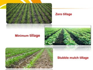 Minimum tillage
Zero tillage
Stubble mulch tillage
cost.
 