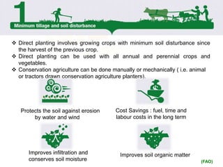  Direct planting involves growing crops with minimum soil disturbance since
the harvest of the previous crop.
 Direct planting can be used with all annual and perennial crops and
vegetables.
 Conservation agriculture can be done manually or mechanically ( i.e. animal
or tractors drawn conservation agriculture planters).
Improves soil organic matter
Protects the soil against erosion
by water and wind
Cost Savings : fuel, time and
labour costs in the long term
Improves infiltration and
conserves soil moisture (FAO)cost.
 