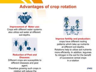 Advantages of crop rotation
Improvement of Water use:
Crops with different water systems
also utilize soil water at different
soil depths.
Improve fertility and production:
crops have different rooting
patterns which take up nutrients
at different soil depths.
Rotations help to utilize soil nutrients
more efficiently. In addition, legumes
fix nitrogen in the soil for the benefit
of successive cereal crops
in a rotation
cost.
Reduction of Pest and
Diseases:
Different crops are susceptible to
different diseases and pest
agent.
Therefore growing such crops in
rotation will reduce the
(FAO)
 