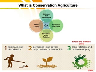 cost.
What is Conservation Agriculture
(FAO)
CA
Minimum
Soil
Disturbance
Permanent
Soil Cover
Diversified
Crop
Rotation
Weed
Control
Farooq and Siddique,
(2016)
 