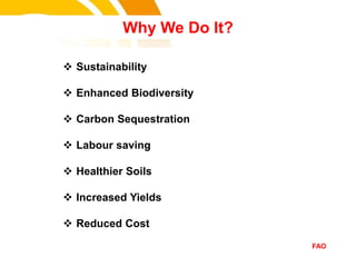 Why We Do It?
 Sustainability
 Enhanced Biodiversity
 Carbon Sequestration
 Labour saving
 Healthier Soils
 Increased Yields
 Reduced Cost
FAO
cost.
 