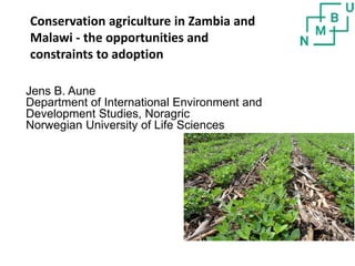 Jens B. Aune
Department of International Environment and
Development Studies, Noragric
Norwegian University of Life Sciences
Conservation agriculture in Zambia and
Malawi - the opportunities and
constraints to adoption
 