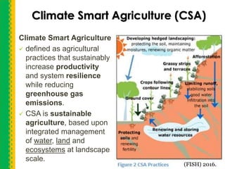 Csa Climate Conservation agriculture nexus in climate smart agriculture 25.09.2019
