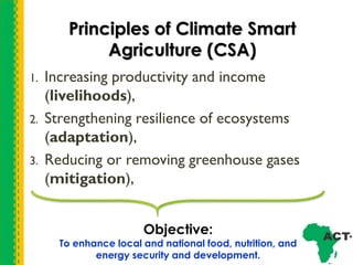 Conservation agriculture nexus in climate smart agriculture 25.09.2019