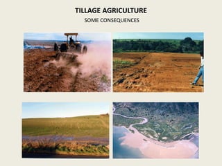 TILLAGE AGRICULTURE
SOME CONSEQUENCES
 