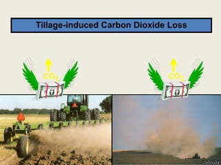 Tillage-induced Carbon Dioxide Loss
CO2CO2
Reicosky
 