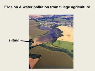 picture: Dr. Strobel, LfA/Germany
Erosion & water pollution from tillage agriculture
silting
 