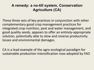 These three sets of key practices in conjunction with other
complementary good crop management practices for
integrated crop nutrition, pest and water management, and
good quality seeds, appears to offer an entirely-appropriate
solution, potentially able to slow and reverse productivity
losses and environmental damages.
CA is a lead example of the agro-ecological paradigm for
sustainable production intensification now adopted by FAO
A remedy: a no-till system, Conservation
Agriculture (CA)
 